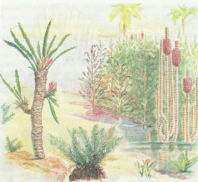 Древовидные растения каменноугольного периода