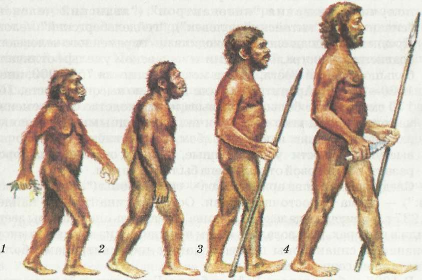 Предки современного человека