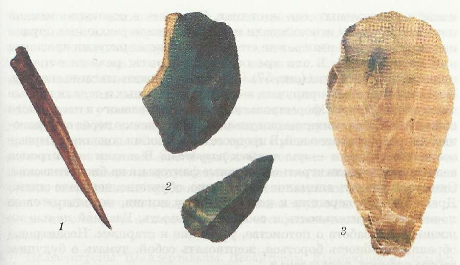 1 — деревянное копье, сделанное 300 тыс. лет назад; 2 — каменное орудие, сделанное 250 тыс. лет назад; 3 — каменное орудие, сделанное 200 тыс. лет назад