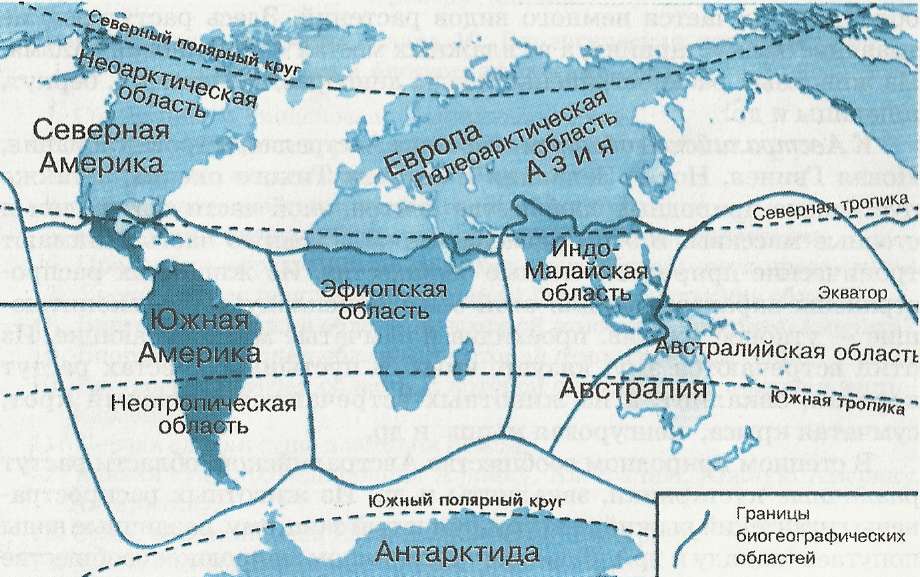 Карта биогеографических областей
